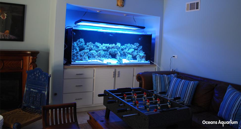 homes with their own shark tanks bb1
