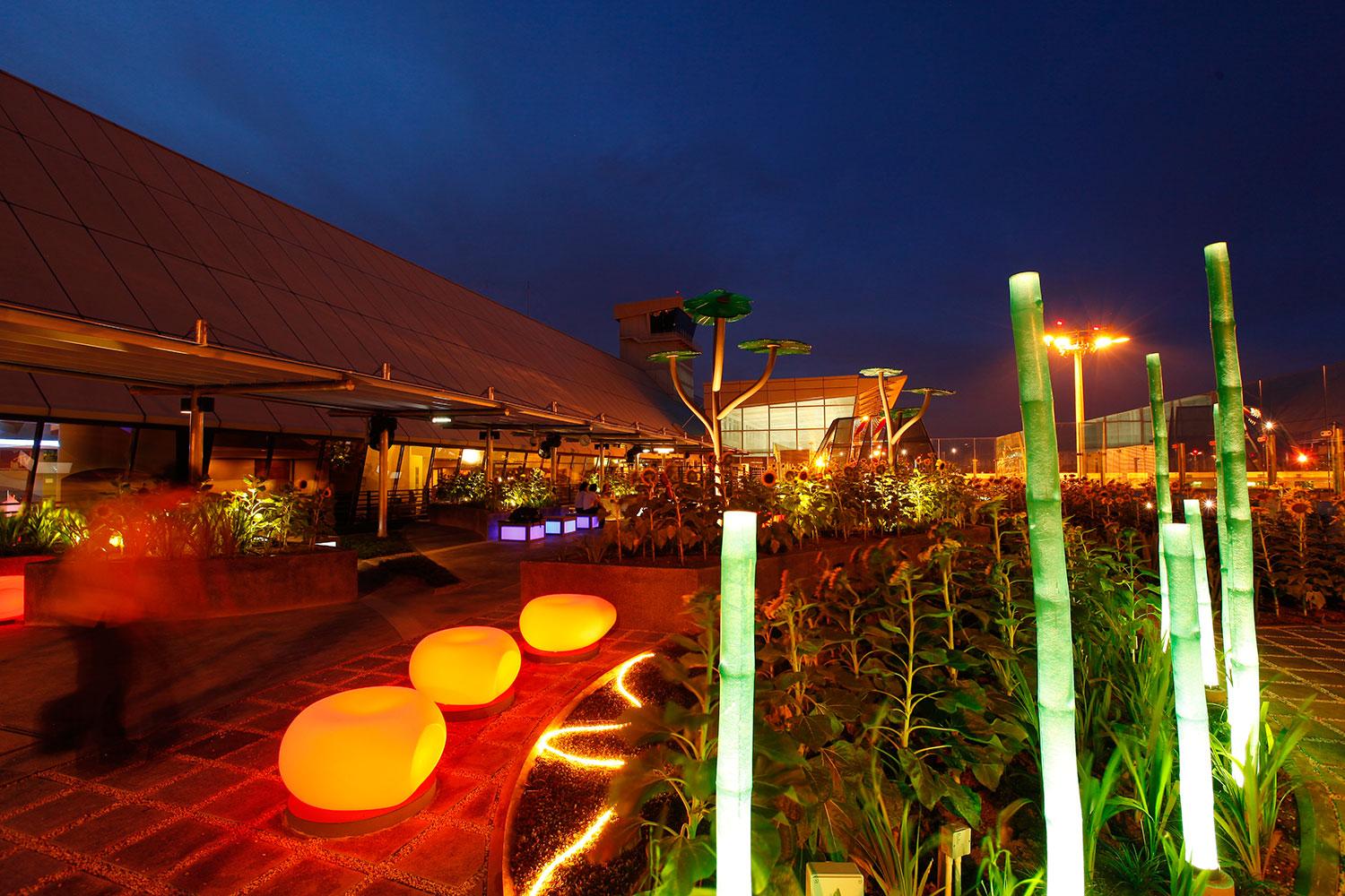 best airports for layovers changi airport sunflower garden