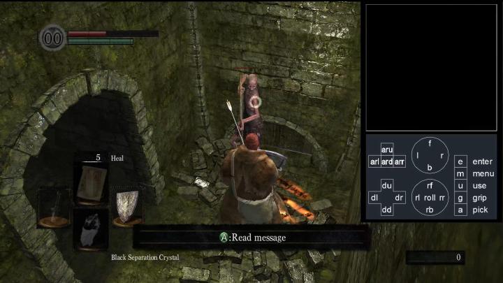 Twitch Plays Dark Souls screenshot