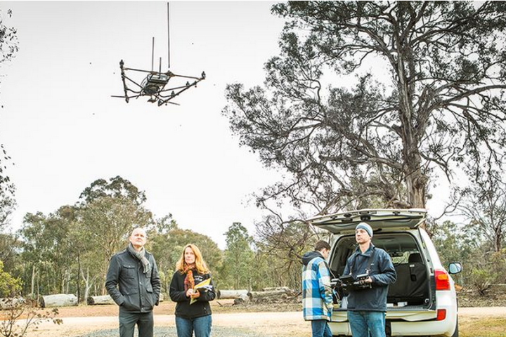 australian wildlife tracking drone