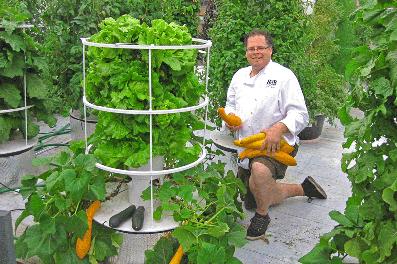 Bell Book & Candle Aeroponic Garden