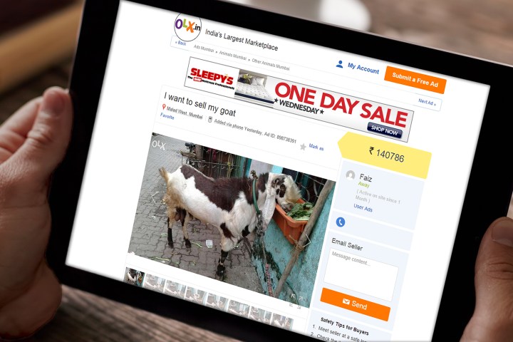 Online Goat Selling