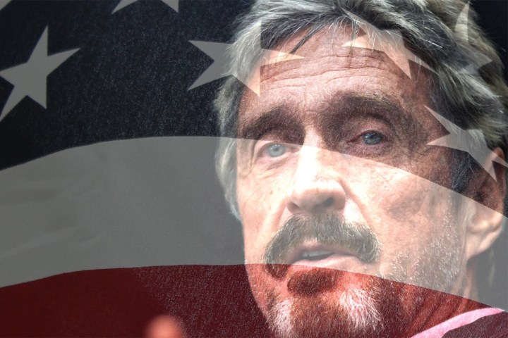john mcafee psychedelics for president