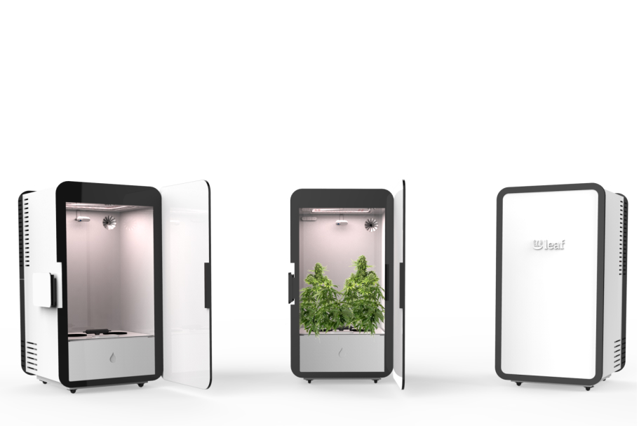 leaf smart home grow box for weed cannabis sytem