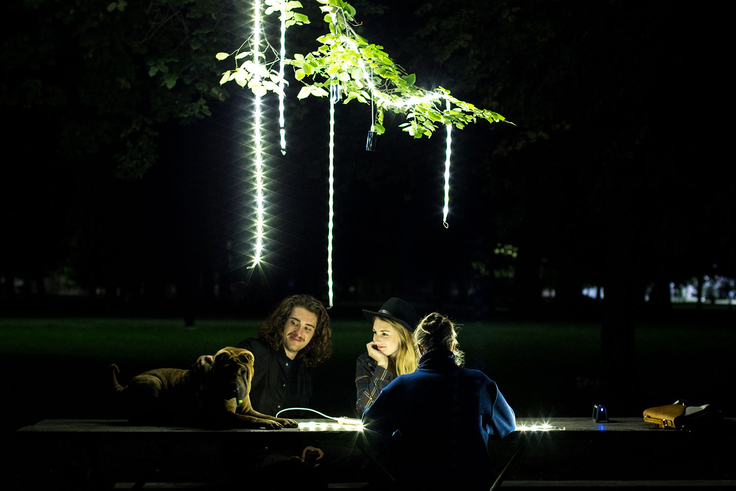 the luminoodle is a portable led light strip picnic hanging luminoodles
