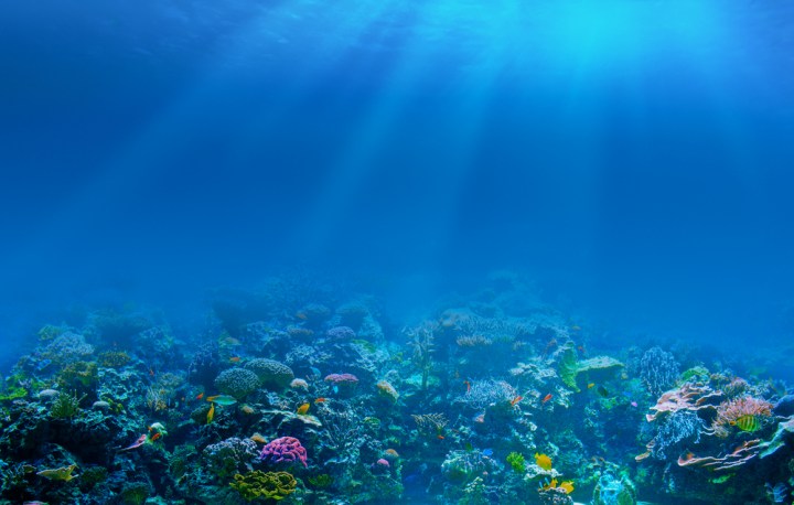 nasa lidar laser plankton coral reef ocean