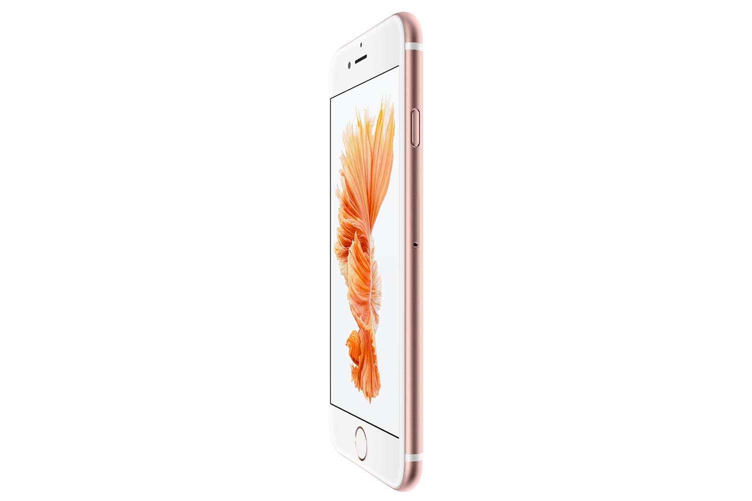 iphone 6s news sizes 6 large