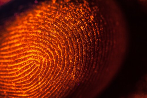 opm breach fingerprints shutterstock 208573624