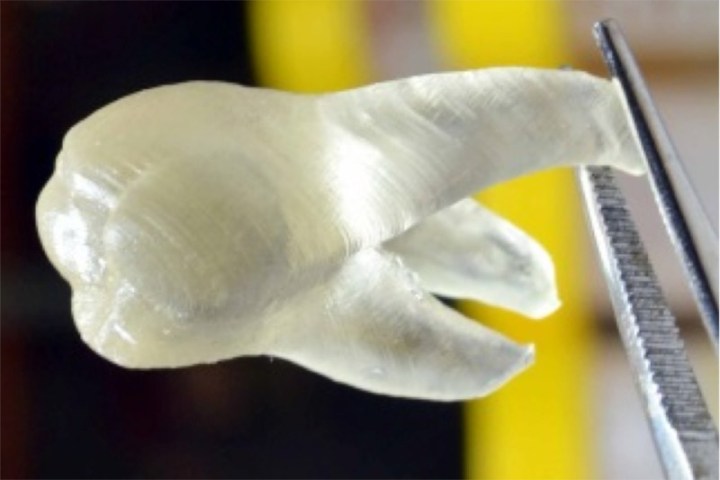 3d printed antimicrobial tooth prevents plaque
