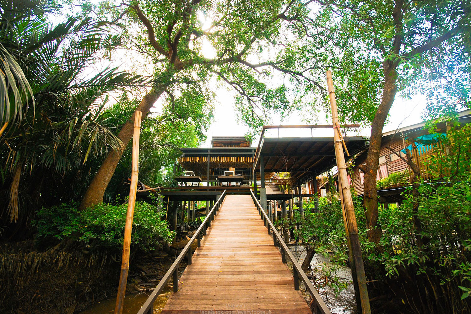 the bangkok tree house hotel lets guests sleep under stars resort 004