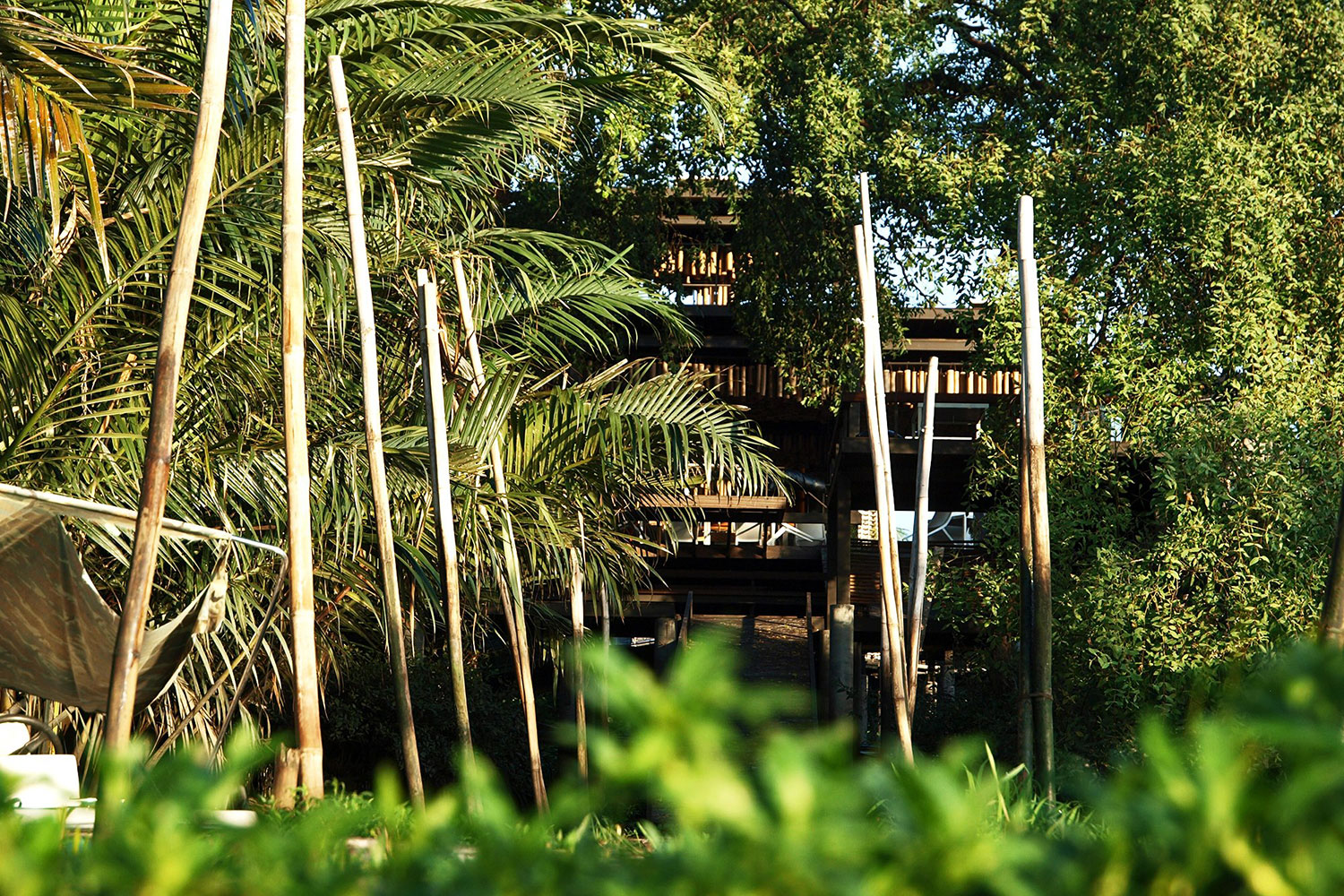 the bangkok tree house hotel lets guests sleep under stars resort 005