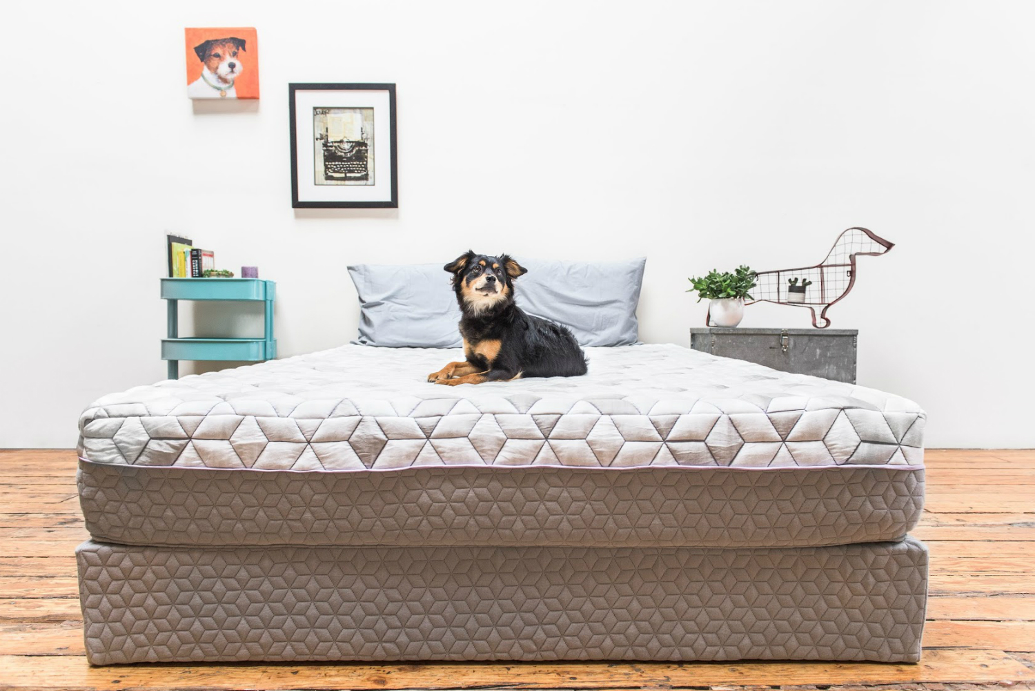 layla launches its mattress delivery kickstarter matress set up
