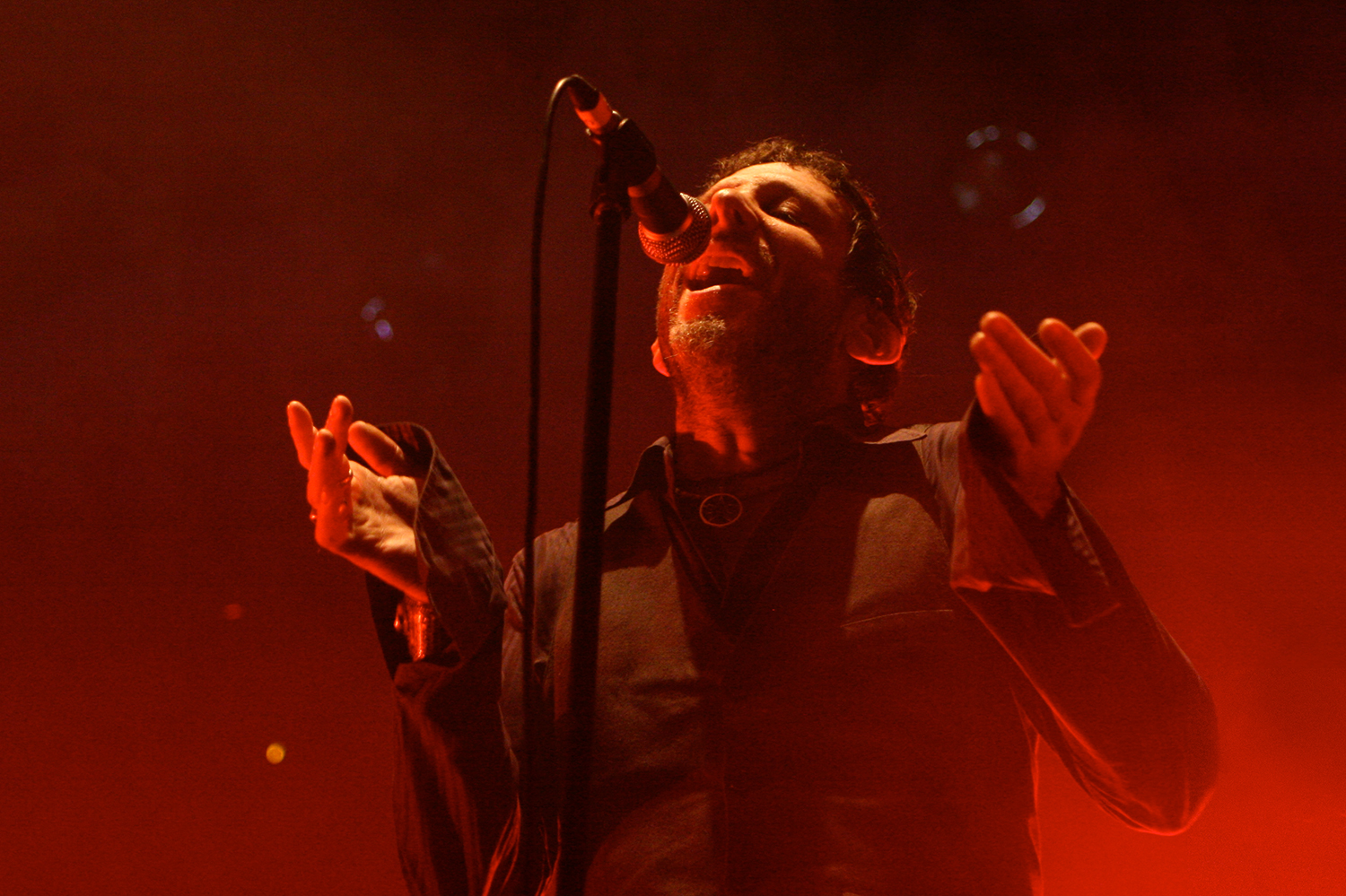 Mercury Rev