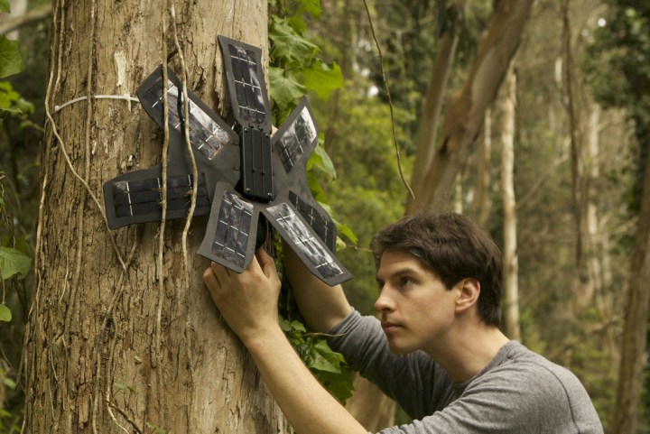 rainforest connection smartphone forest defender news array