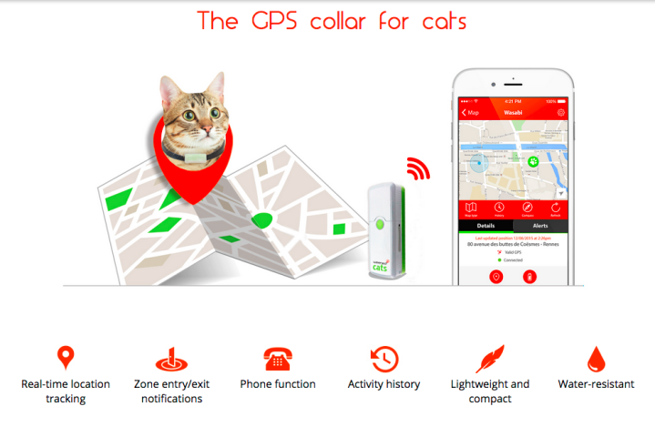 need to talk your cat you may weenects mobile phone for felines screen shot 2015 10 15 at 6 56 12 pm