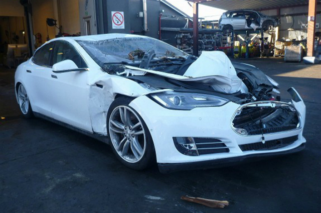 Tesla Model S crushed by a tree - front (frunk) view
