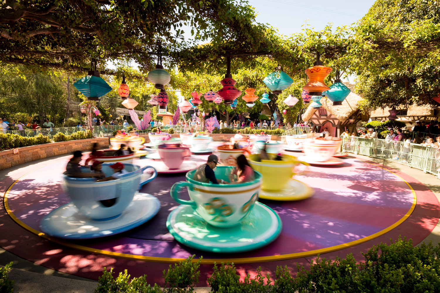 Teacup ride Disneyland