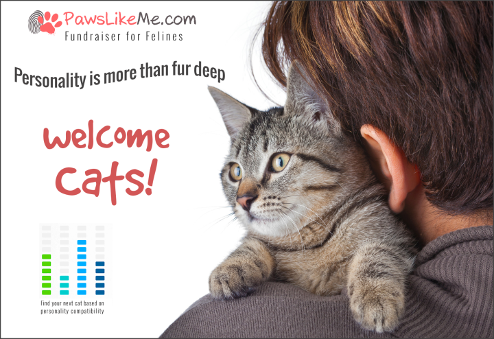pawslikeme connects dogs owners felines crowdfund3 plm