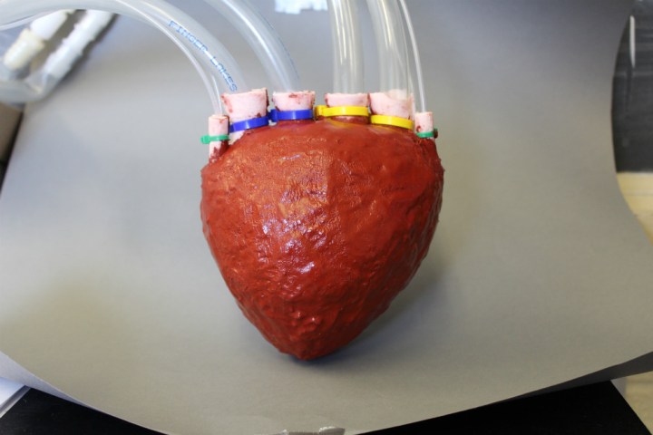 u s scientists create artificial foam heart as squishy the real thing
