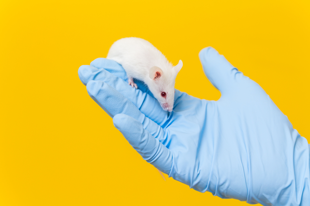 mice virtual reality lab rat