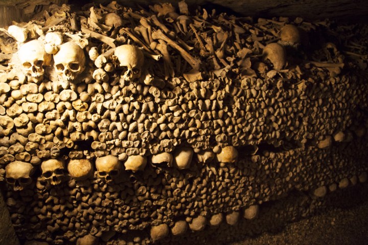 airbnb halloween contest offers a night in worlds largest grave paris catacombs