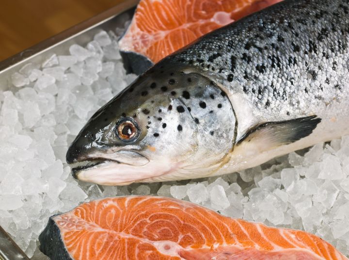 genetically modfied salmon gains approval fda 9390772 l