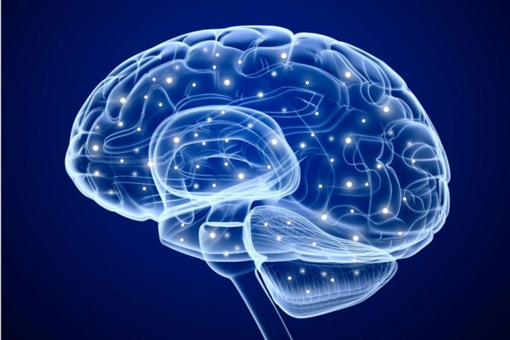 false experiences planted in human brains brainimagedarpa1
