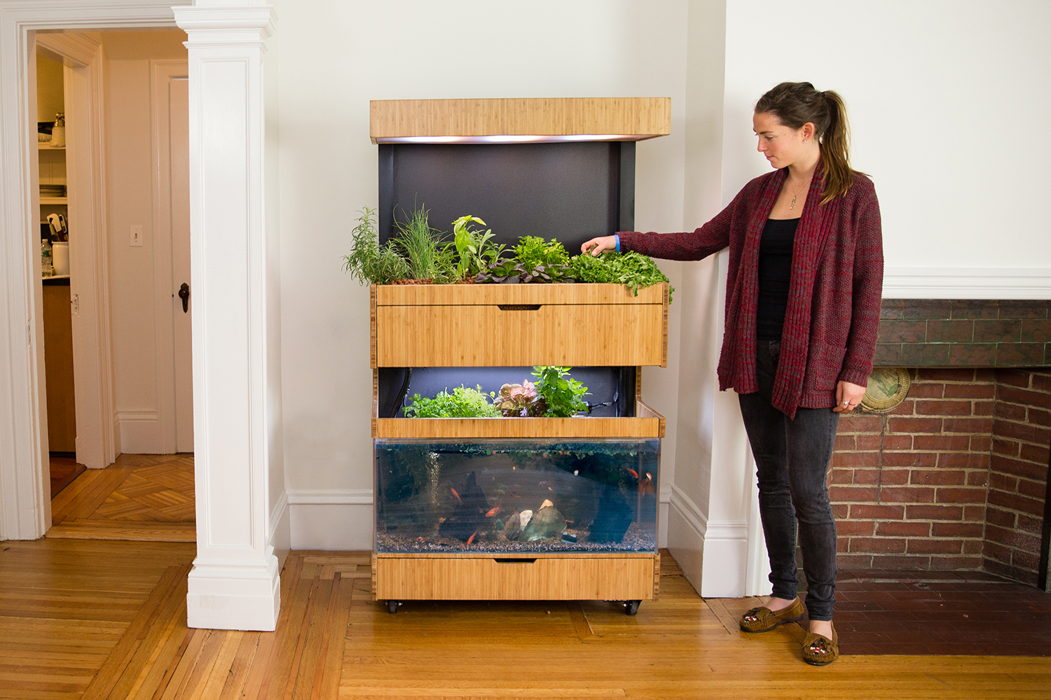 the grove ecosystem launches a kickstarter for its indoor garden a27a5255 edit