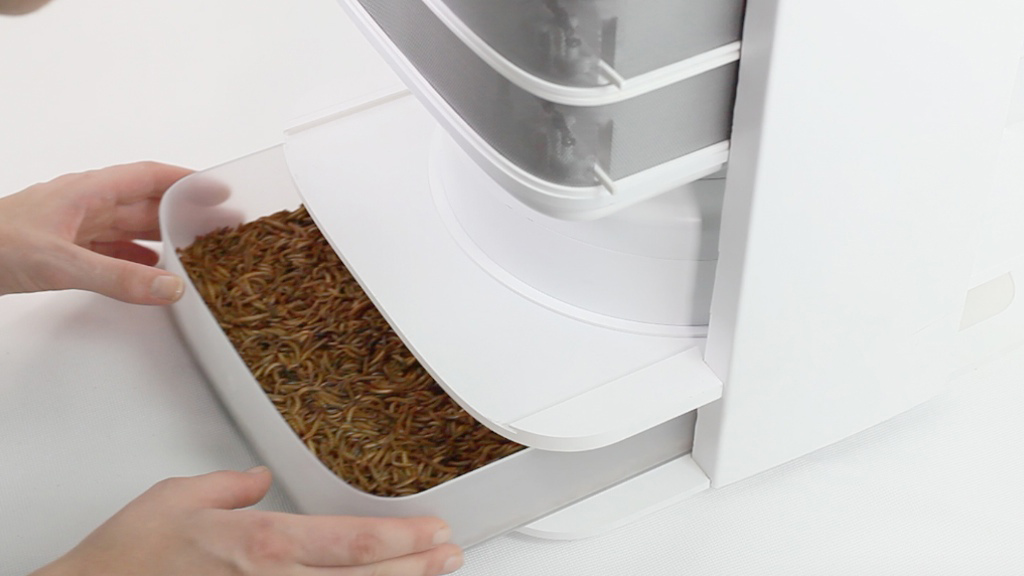 livin farms desktop hive makes edible mealworms 007