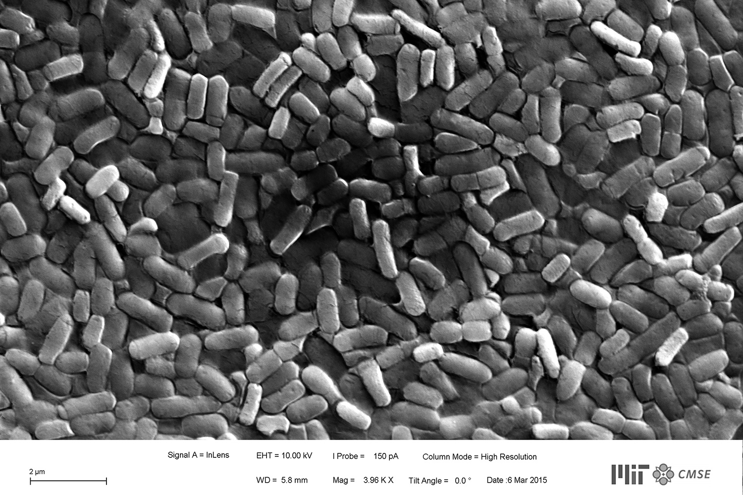 biofilm clothing ancient bacteria morphs sweat biologic 001