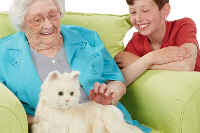 there are now robotic cats that serve as companion animals pet 7
