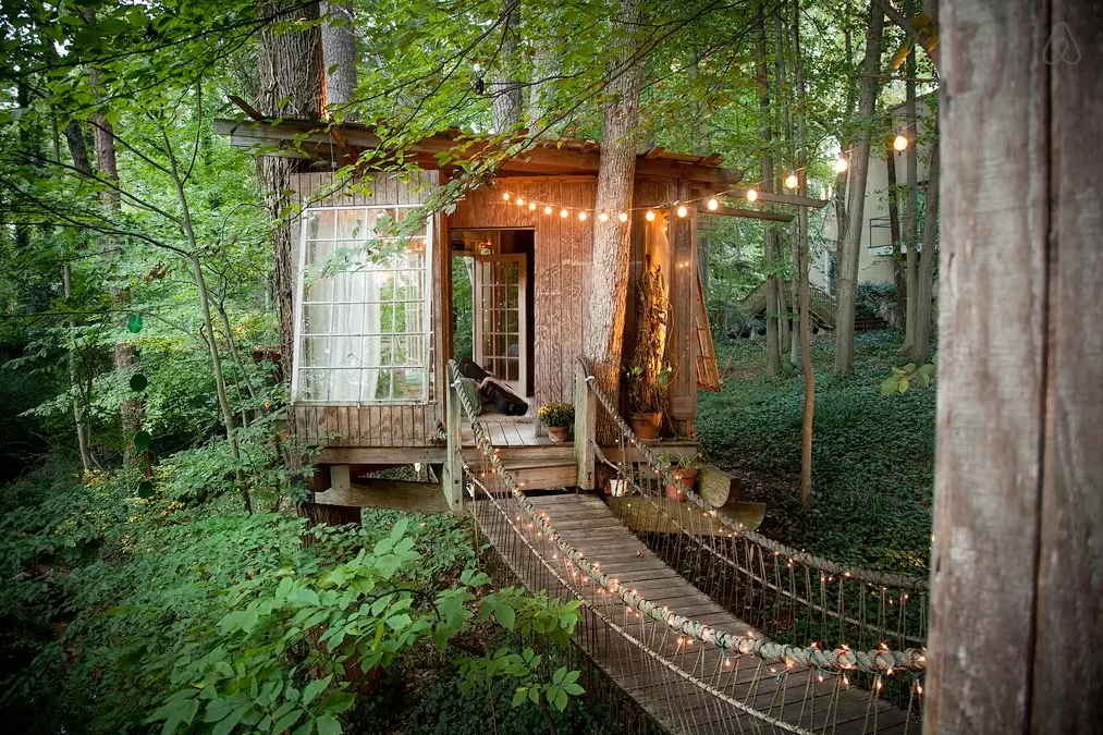 airbnb releases list of most wish listed properties treehouse 3