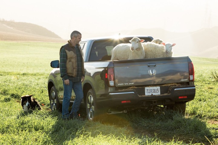 2017 Honda Ridgeline Pickup Leads the Flock