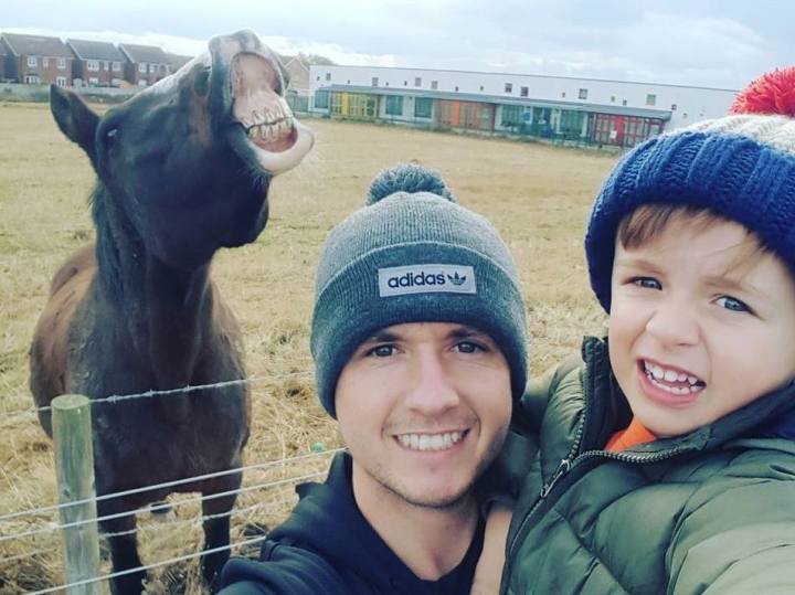 photobombing horse selfie