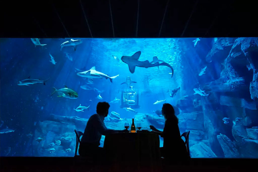 sleep underwater paris aquarium sharks airbnb de shark 003