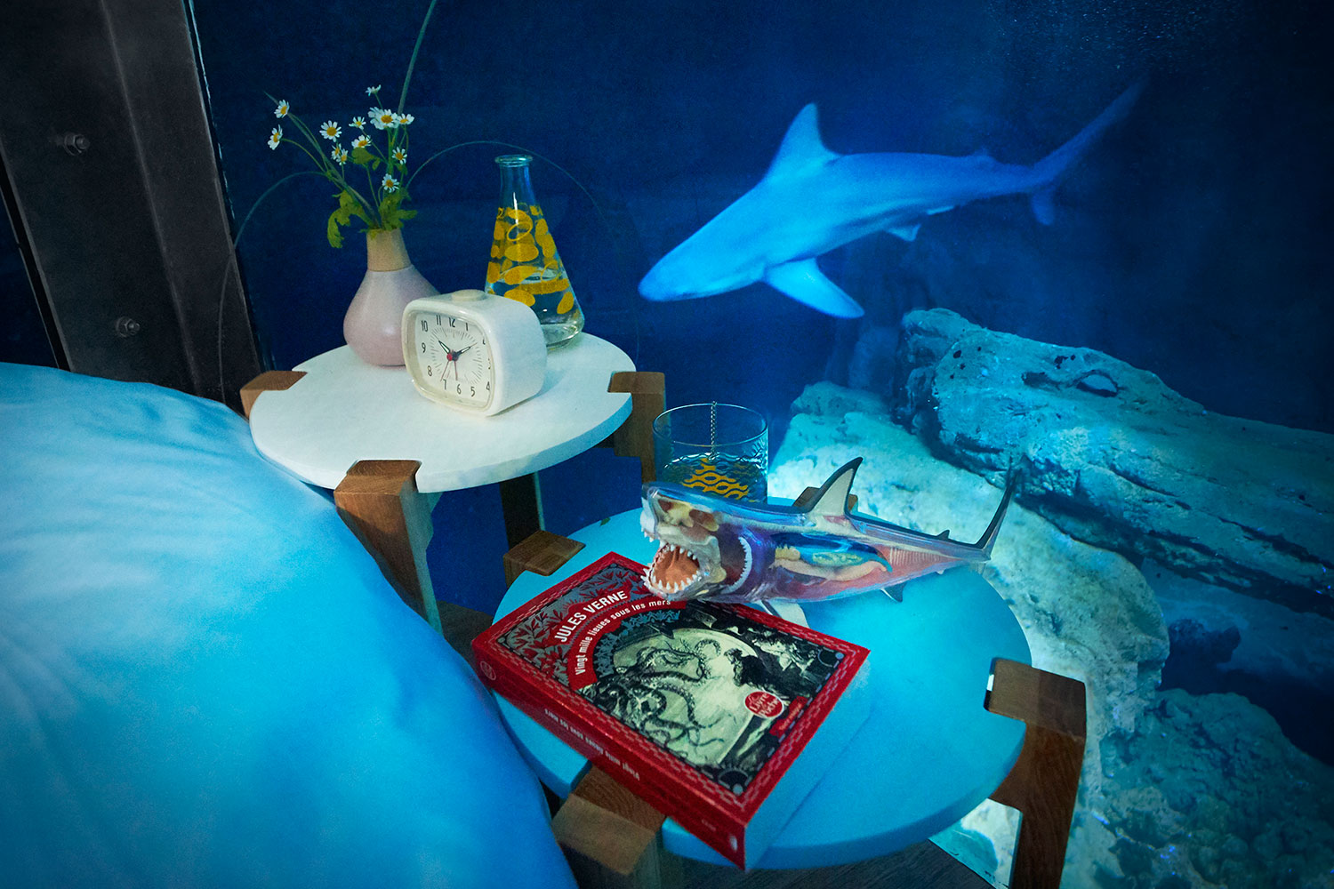 sleep underwater paris aquarium sharks airbnb de shark 005