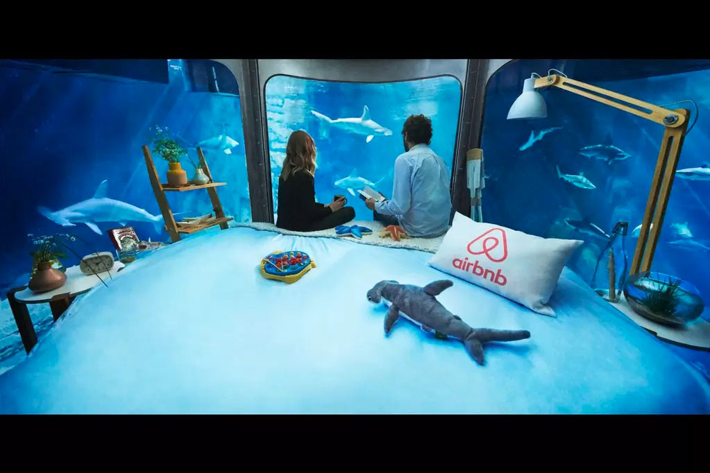 sleep underwater paris aquarium sharks airbnb de shark 006