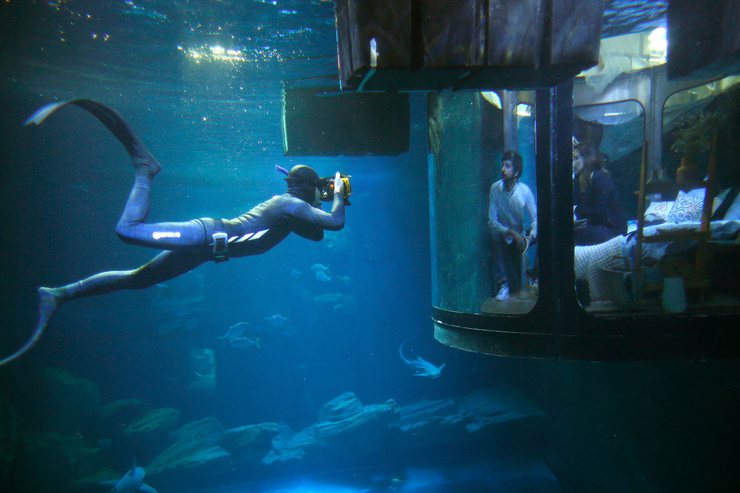 sleep underwater paris aquarium sharks airbnb de shark 008