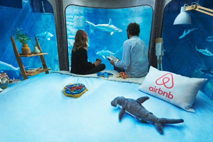 airbnb premium aquarium de paris shark 009