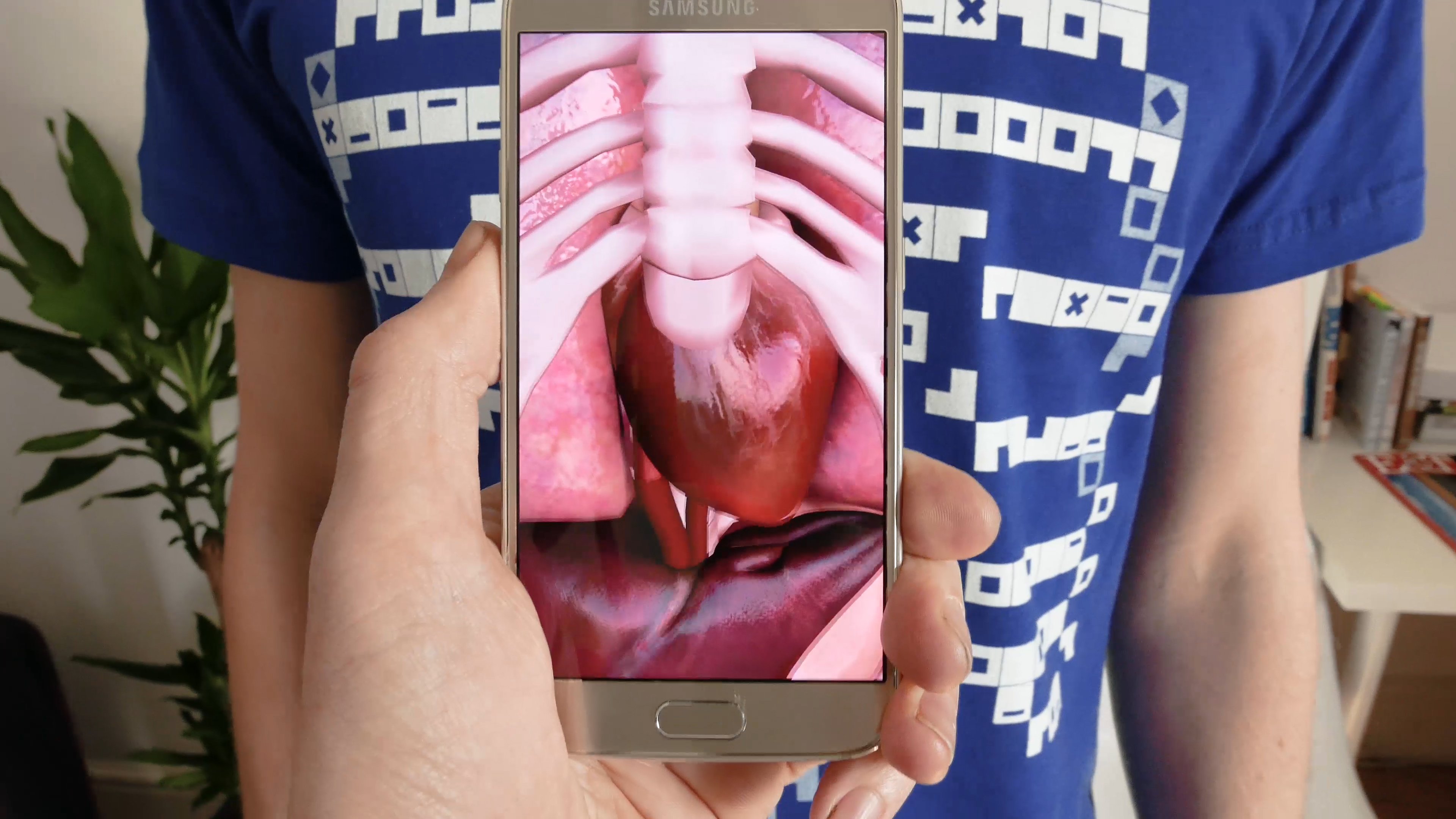 Virtuali-Tee Curiscope - close-up organs VR
