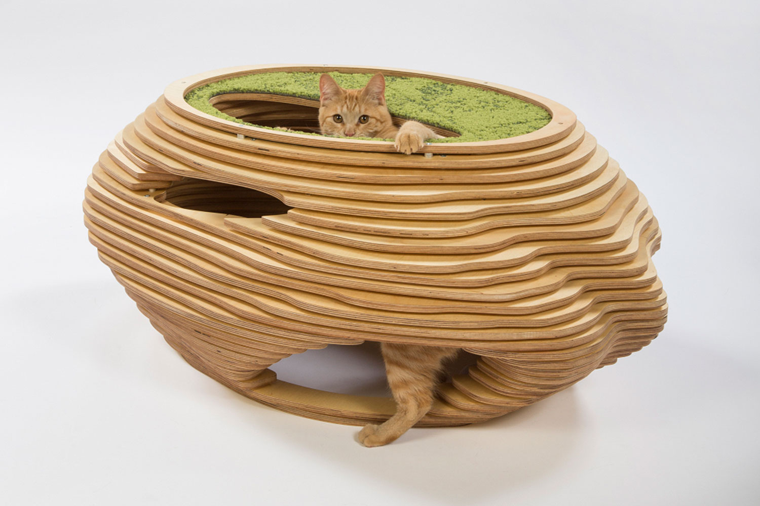 architects for animals design amazing cat houses abramsonteiger  photo credit meghan bob photography