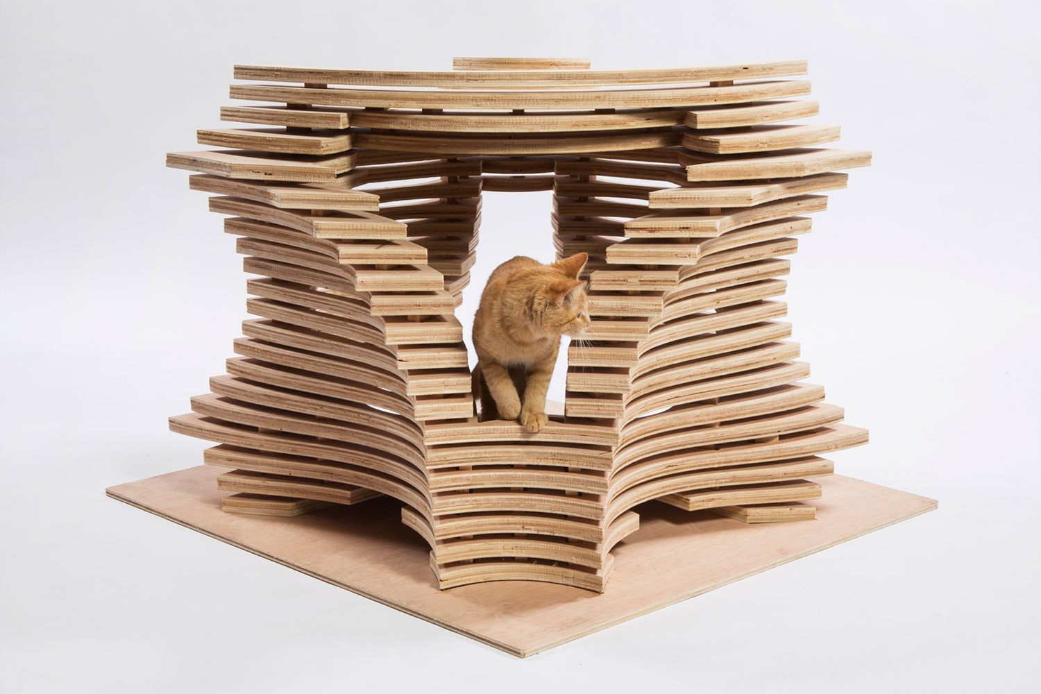 architects for animals design amazing cat houses callisonrtkl photo credit meghan bob photography
