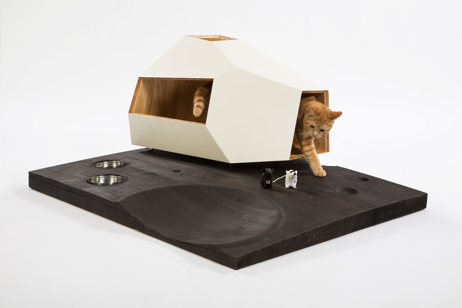 architects for animals design amazing cat houses knowhow shop photo credit meghan bob photography