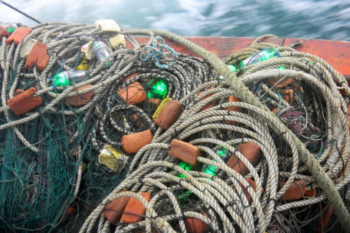 LED fishing nets save turtles