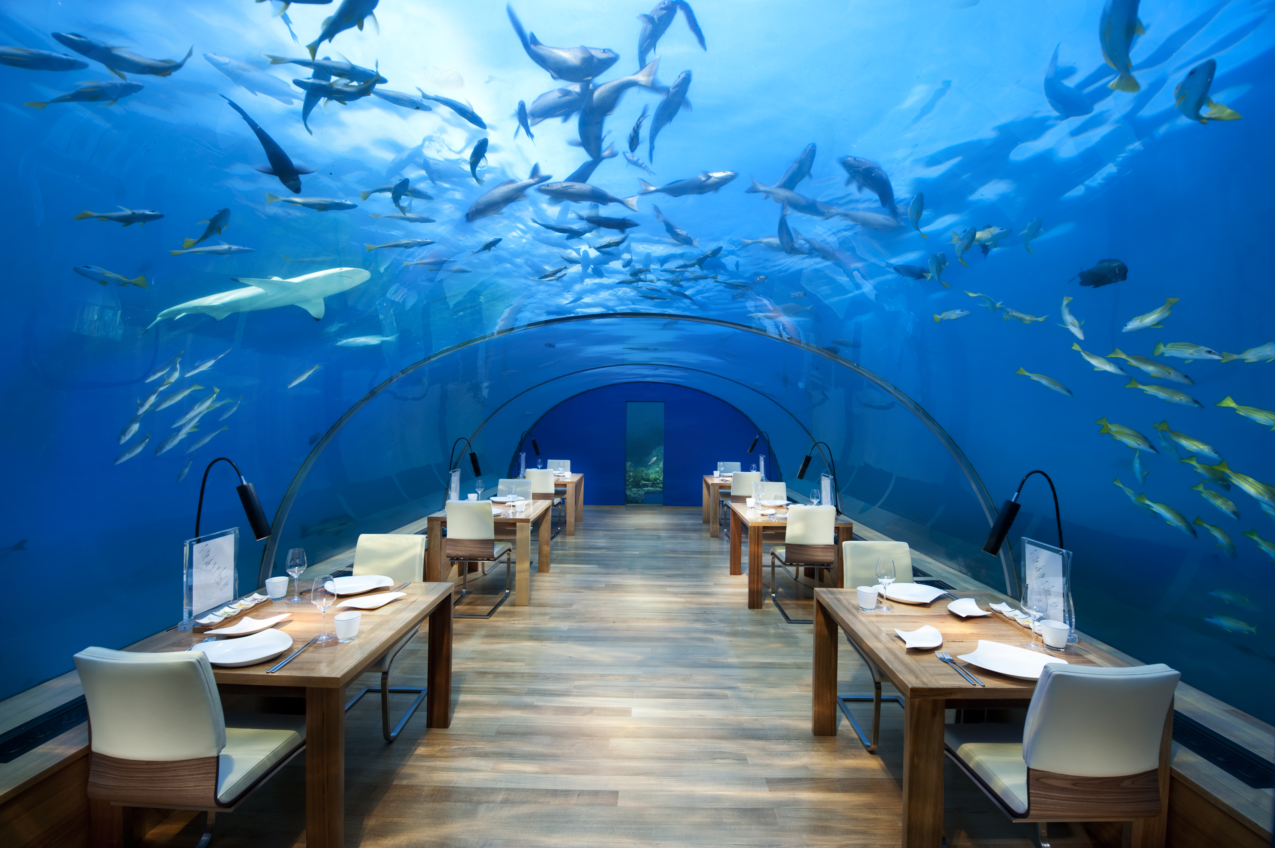maldives worlds largest underwater restaurant