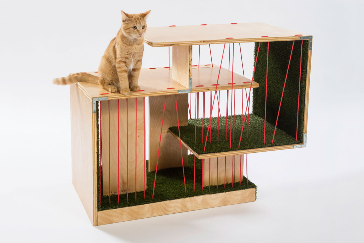 architects for animals design amazing cat houses rnldesign photo credit meghan bob photography
