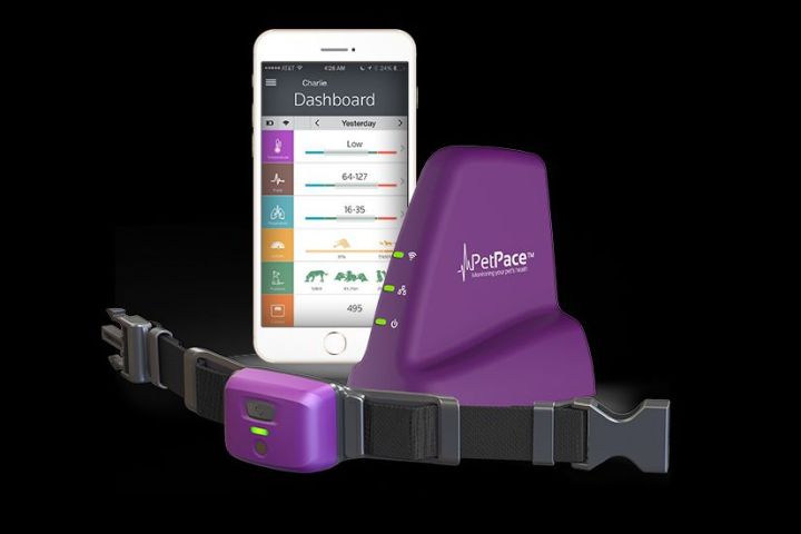 PetPace health tracker