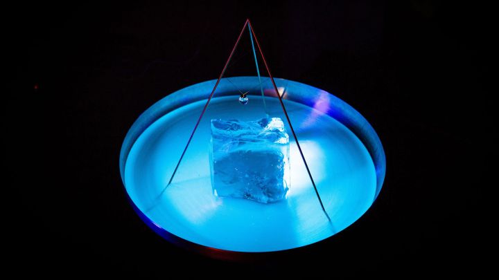 experimental bioluminescent jewelry glows living algae dinoflagellate3