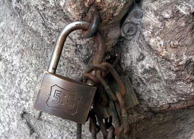 switzerland data security lock 89027 640
