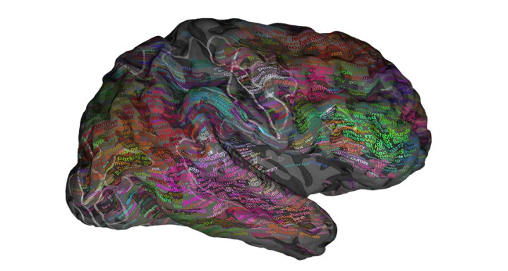 brain research meaning mapped language mapping